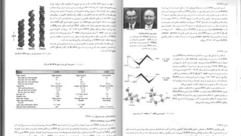 کتاب زیست شناسی سلولی،مولکولی و مهندسی ژنتیک مجید مهدوی PDF