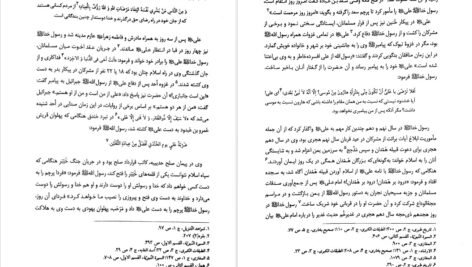 کتاب تاریخ امامت اصغر منتظر القائم PDF