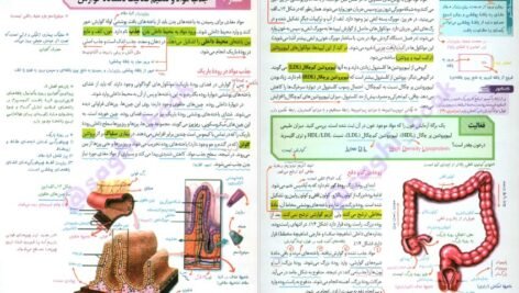 کتاب زیست شناسی جامع زیر ذره بین PDF