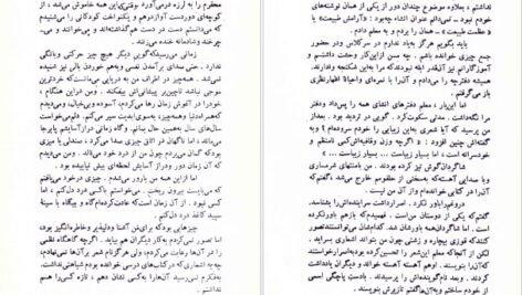 کتاب مردی در قفس فریدون تنکابنی PDF