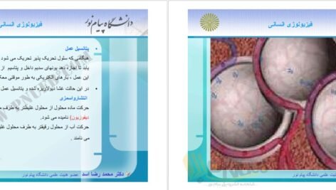 دانلود جزوه فیزیولوژی انسانی دکترمحمد رضا اسد PDF