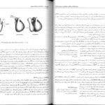 کتاب زیست شناسی سلولی،مولکولی و مهندسی ژنتیک مجید مهدوی PDF