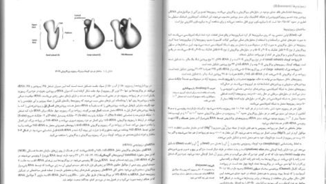 کتاب زیست شناسی سلولی،مولکولی و مهندسی ژنتیک مجید مهدوی PDF