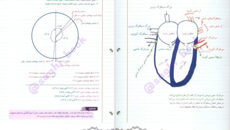 کتاب زیست شناسی جامع زیر ذره بین PDF