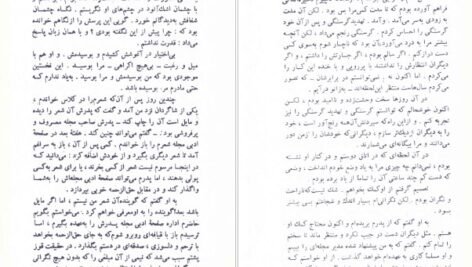 کتاب مردی در قفس فریدون تنکابنی PDF