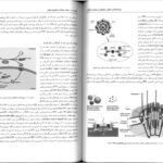کتاب زیست شناسی سلولی،مولکولی و مهندسی ژنتیک مجید مهدوی PDF
