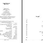 کتاب سرشت و سرنوشت سینمای کیشلوفسکی مونیکا مورر PDF