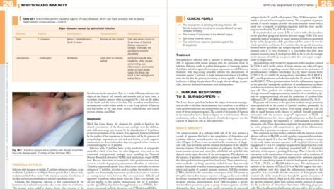 کتاب ایمونولوژی بالینی: اصول و تمرین رابرت آر. ریچ PDF