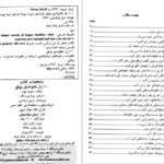 کتاب ۱۰۰راز خانواده موفق دیوید نیون PDF