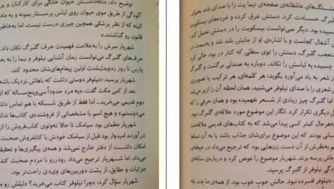 کتاب سندروم ژولیت ضحی کاظمی PDF