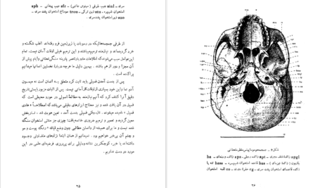 کتاب سنگواره های انسان عصر حجر دکتر روبر ژولین PDF