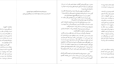 کتاب شادی های کوچک یک خانه کولت ویویه PDF