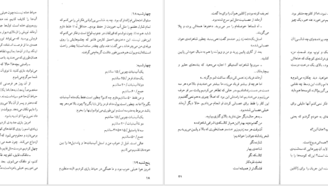 کتاب شادی های کوچک یک خانه کولت ویویه PDF