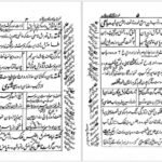 کتاب شبستان نکات و گلستان لغات یحیی سیبک فتاحی نیشابوریPDF