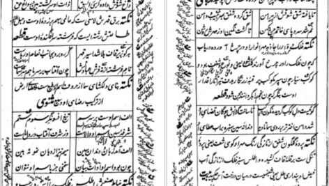 کتاب شبستان نکات و گلستان لغات یحیی سیبک فتاحی نیشابوریPDF