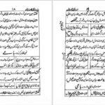 کتاب شبستان نکات و گلستان لغات یحیی سیبک فتاحی نیشابوریPDF