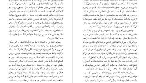 کتاب شهود فلانری اوکانر PDF