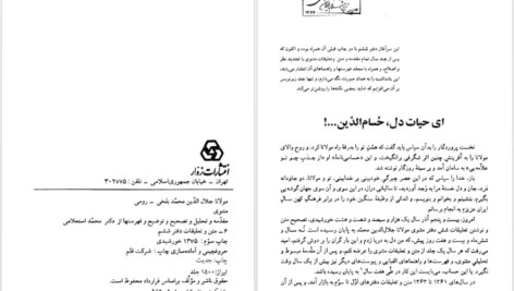 کتاب متن و شرح مثنوی معنوی مولوی مولانا جلاالدین محمد بلخی جلد هفتم PDF