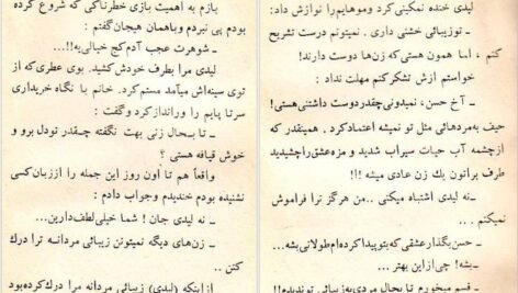 کتاب عشق آتشین عزیز نسین PDF
