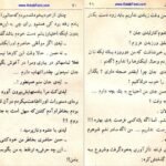 کتاب عشق آتشین عزیز نسین PDF
