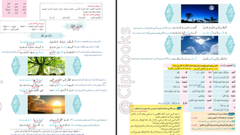 کتاب زیر ذره بین عربی، زبان قرآن (۱) الهه مسیح خواه PDF