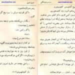 کتاب عشق آتشین عزیز نسین PDF