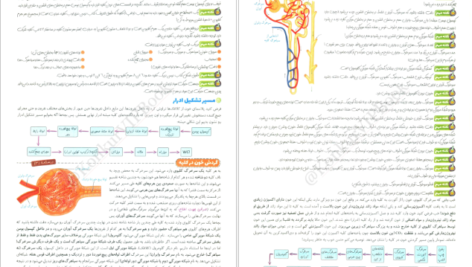 کتاب فاگوزیست دهم فردین جوادی PDF