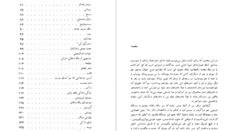 کتاب ظل الله رضا براهنی PDF