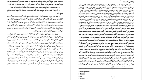کتاب صلیبی در سیبری هاینز کنزالیک PDF